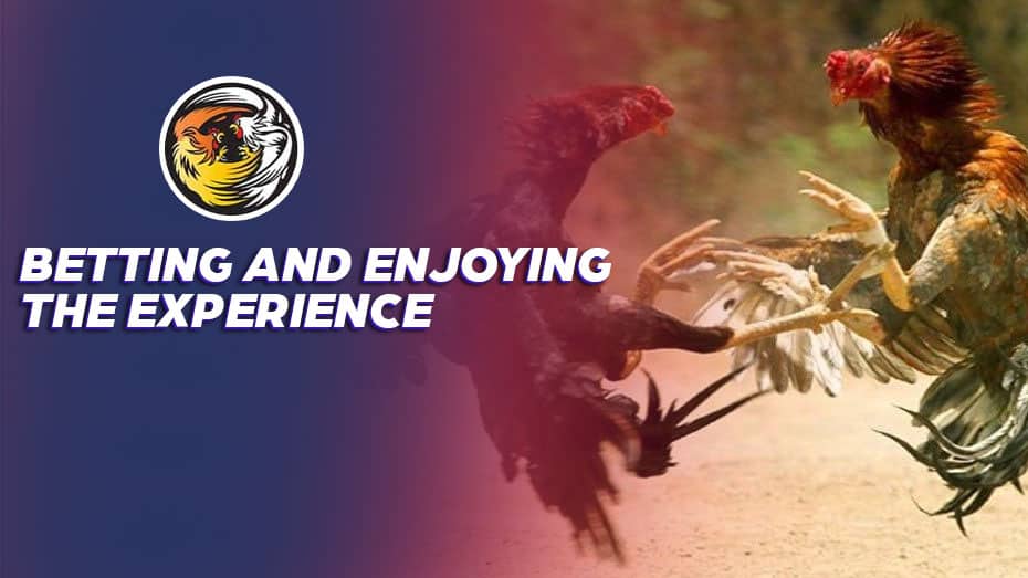 free 100 bonus register no deposit